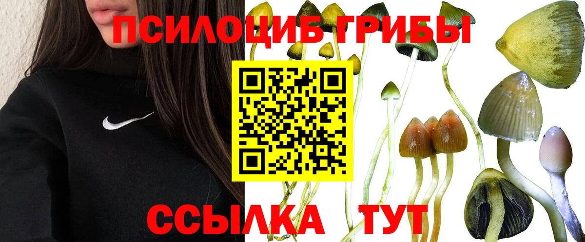 Галлюциногенные грибы ЛСД Унеча