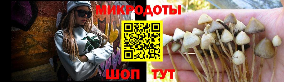 Псилоцибиновые грибы Psilocybine cubensis  Псилоцибиновые грибы Psilocybe  Вход с VPN  Унеча 